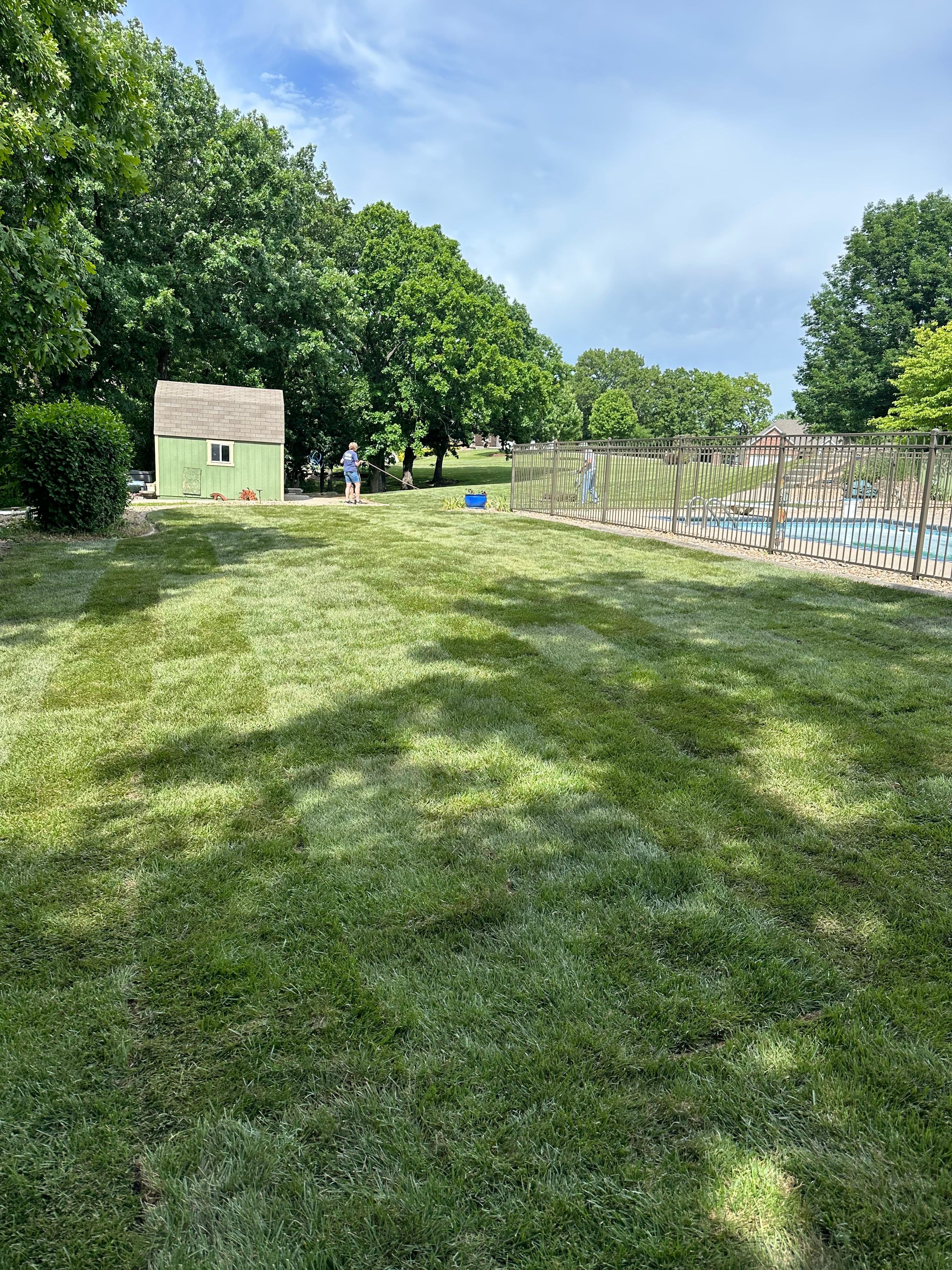 Project Transformative Backyard Lawn Revamp in Oak Grove image